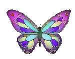 Очаровательная бабочка (17)