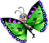 Волшебная бабочка имеет защитную окраску