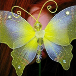 Красивая жёлтая бабочка