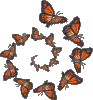 Бабочка (595)