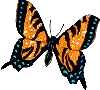 Бабочка (224)