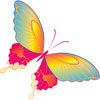 Прекрасная бабочка цвета радуги