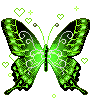 Бабочка (454)