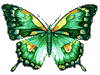 Очаровательная бабочка (6)