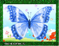 Картина голубая бабочка в зеленой рамке