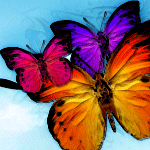 Красивые бабочки летят в небеса