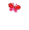 Бабочка (537)
