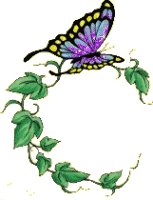 Красивая бабочка фиолетовая