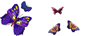 Бабочка (603)