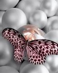 Красивая бабочка сидит на блестящей жемчужине