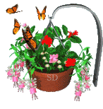 Бабочки пархают над корзиной с цветами