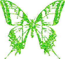 Бабочка (620)