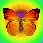 Бабочка на радуге