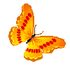 Волшебная бабочка солнечная