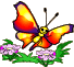 Прекрасная бабочка (2)