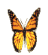 Бабочка (189)
