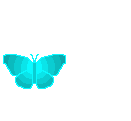Бабочка (337)