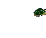  Коварная черепаха 