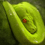  Змея (<b>10</b>) 