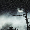 Темная ночь, луна, идет дождь
