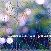Паутина после дождя (moments in pease)