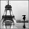  Париж. <b>дождь</b> 