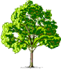  <b>Зеленое</b> дерево 