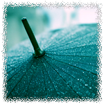 Зонтик в каплях дождя