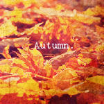 Пожелтевшие листья (autumn)