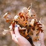 В руках куча осенних листьев