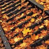 Лестница засыпана осенними листьями