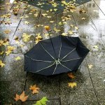  Перевернутый зонт лежит на мокрой аллее с <b>осенним</b> листьями 