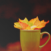 Чашка с разноцветными листьями