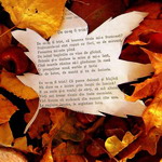Среди осенней листвы лежат стихи