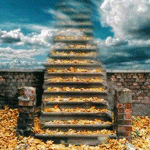 Лестница в небеса, усыпанная листвой