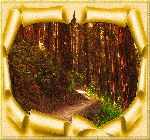 Тропинка в лесу с падающими листьями в золотой рамке