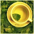 Чашка с блюдцем стоит на чайных листьях