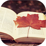 Осенний листок лежит на раскрытой книге