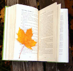 Кленовый лист на книге