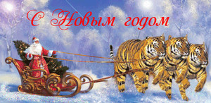  С <b>Новым</b> годом! Дед Мороз на тройке тигров! 