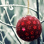 Красный новогодний шар висит на ветке дерева
