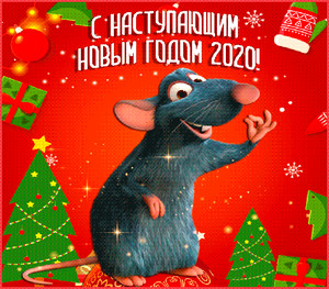 С наступающим Новым 2020 <b>годом</b>! Симпатичная крыса 
