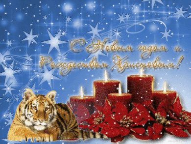 С Новым годом и Рождеством Христовым! Тигр у свечей!