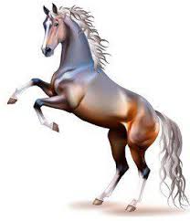 Красота и сила лошади