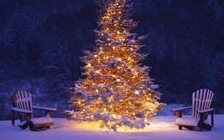 С Новым годом! Новогодняя красавица елка приглашает гостей