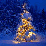 Новогодняя ёлка в снегу