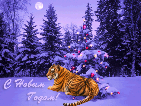 С Новым годом, годом тигра! Тигр у елки!