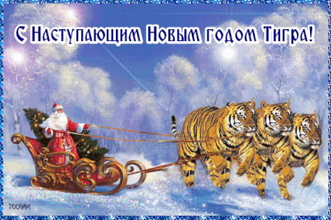 С наступающим Новым годом тигра! Дед Мороз на тройке тигр...