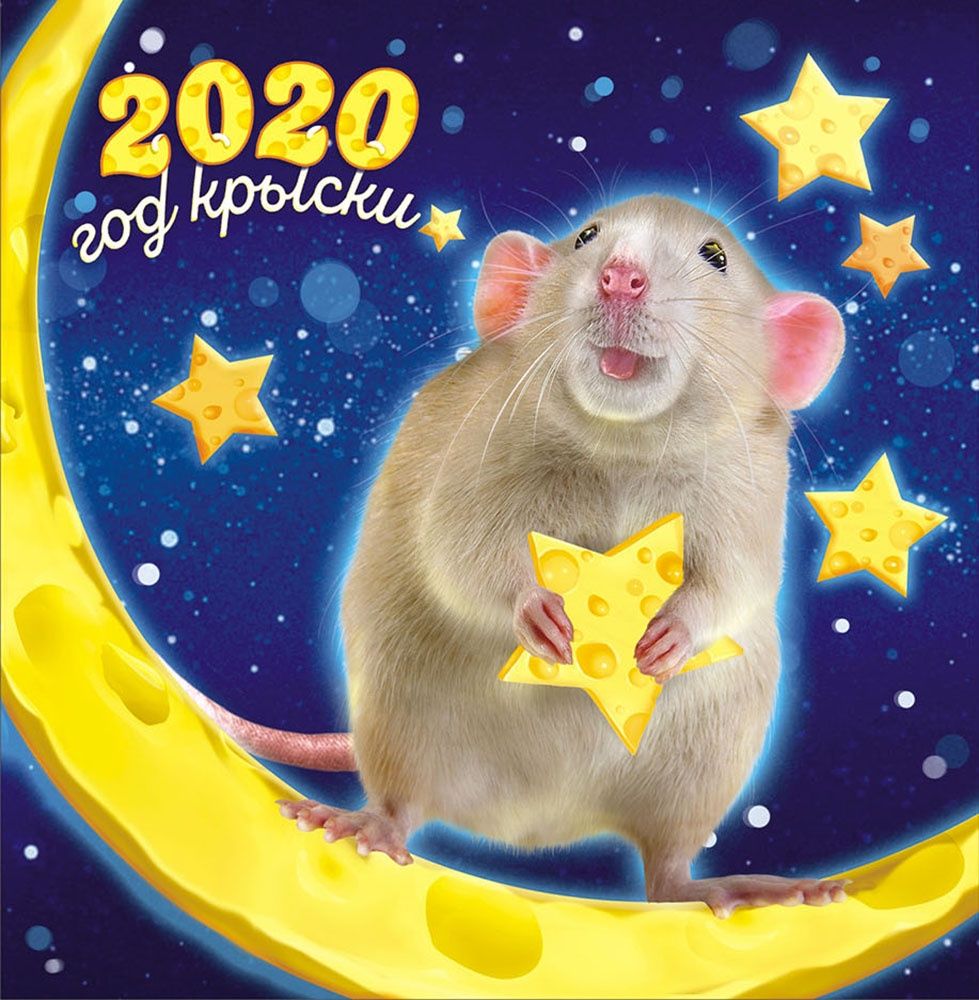2020 год крыски
