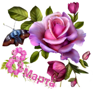  <b>Открытка</b> 8 Марта.Роза с цветами 